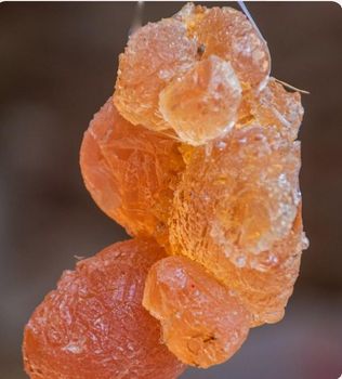 HASHAB GUM ARABIC, recognized worldwide for its exceptional purity, solubility, and clarity. Carefully hand-picked and selected (Hand-Picked Selected, HPS grade), this product is trusted across the food, beverage, pharmaceutical, and cosmetic industries. - Essentara - Kenya