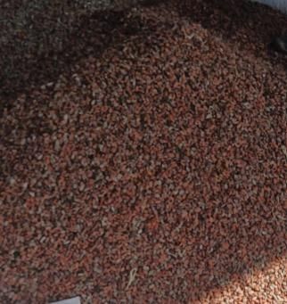 Cocoa Beans From DRC Origin Other Bean Type Other Degree of Processing Raw - Baikal Trading Company Ltd - Uganda