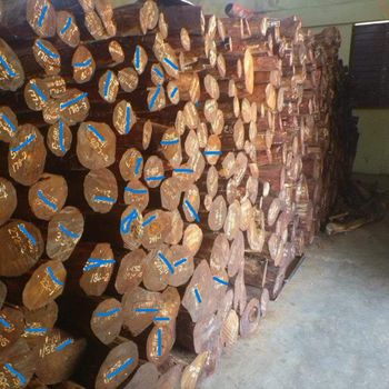 Red sandalwood Oil Content High Certifications Cites Compliant Sourcing Ethic Ethically - JM TRADERS - India