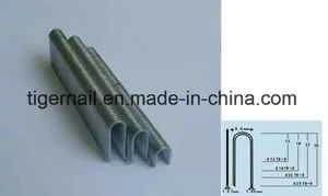 Industrial Wire Staple (TR-D) for Furniture & Upholstery - Shaoxing Tiger Nail Co., Ltd. - China