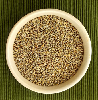 Efficient pearl millet bulk order natural bajra fast delivery - HIGHPROFILE AGRICULTURE SERVICES LIMITED - Tanzania