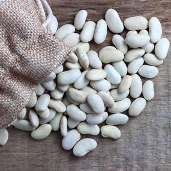 Beans White Factory Sale Various Natural Health Sugar Beans Dry Bulk White Kidney Beans - Thai Agri Company - Thailand