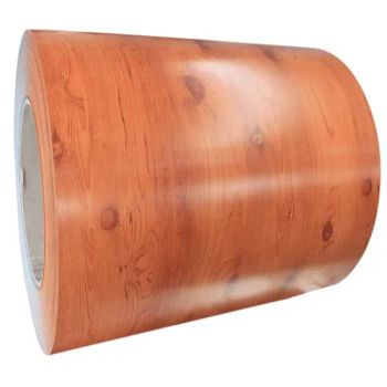 Chinese Factory Direct Sales Stainless Bathroom Cabinets Pre-Painted Electrical Galvanized Steel Coil Building Material - Foshan Gangjiang Technology Co., Ltd - China