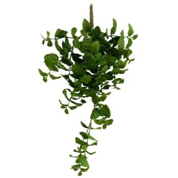 Mint Plants Greenery Artificial Plants Hanging Plants Artificial Mint Leaves - Shenzhen Fayfun Crafts Co., Ltd. - China