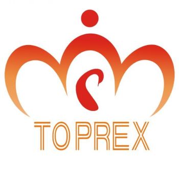 Product - Shenzhen Toprex Festival Decoration Co., Ltd. - China