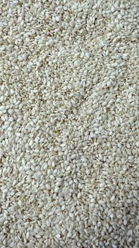 Hulled Sesame seeds - Balaji International - India