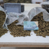 Product from ANDALUSIAN CANNABISIAN CBD Product – product photo, Animal Waste Products products found from trusted suppliers, wholesalers, manufacturers & exporters Listing