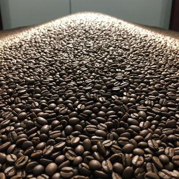 Origin Dried Coffee Export Featuring Arabica Green Coffee Beans With Natural Aroma And Secure Packing - malter group - Tanzania