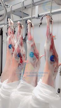 Fresh Chilled Mutton Taste Natural Color Natural Texture Optimal Features Organic Origin Asia, Pakistan Processing Type Fresh & Chilled - Elite Global Trading LLC - United Arab Emirates