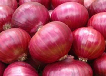 Fruits and vegetables - ATHARV EXIM - India