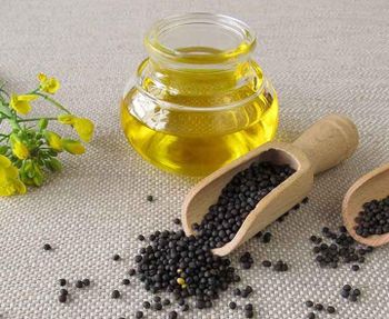 canola oil from ADWA Solutions LLC canola oil - ADWA Solutions LLC - United States