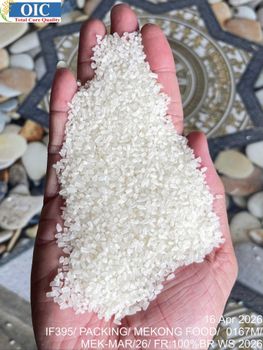 100% broken rice - Mekong Group - Vietnam
