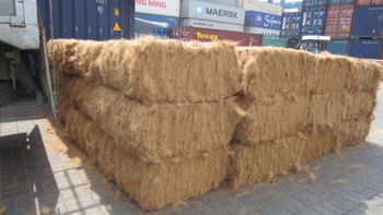 Coconut fiber - ABC - Vietnam