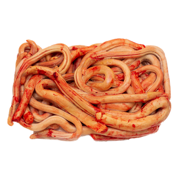 Frozen beef pizzle from Shah Amanat export import international Frozen beef pizzle - Shah Amanat export import international - Bangladesh