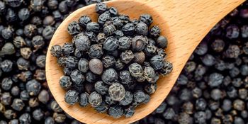 Black Pepper (Piper nigrum) from Comptoir International de la Vanille Black Pepper (Piper nigrum) – product photo, Dehydrated Black Pepper products found from trusted suppliers, wholesalers, manufacturers & exporters Listing
