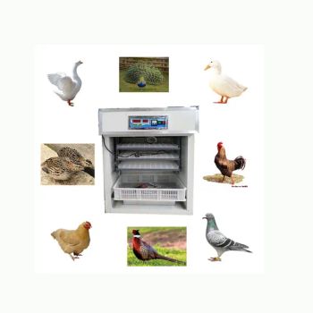 Commercial 5000 Duck Egg Hatching Poultry Chicken Egg Incubator Supplier - Zhengzhou Xiangkun Machinery Co., Ltd. - China