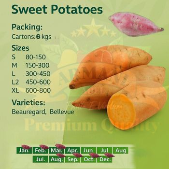 Packaged Fruits & Vegetables – product photo, Packaged Fruits & Vegetables products found from trusted suppliers, wholesalers, manufacturers & exporters Listing