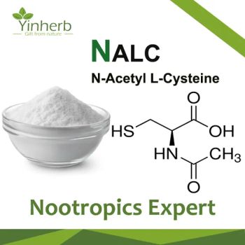 Kosher & Halal Certificated Nac N Acetyl Cysteine Powder 995 Purity Factory Supply in Stock - Xi'an Yinherb Bio-Tech Co., Ltd. - China