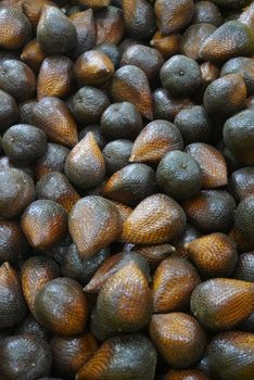 Salak Pondoh / Fresh Salak Export Grade 70 Gram - 110 Gram Texture Crunchy Type Salak Pondoh Grade Export / 1 / Premium Weight (kg) 70G - 110G - PT Salinov Bintang Mulia - Indonesia
