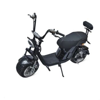 Wholesale China Electric Citycoco 2 Seats Moped Bicycle Best Cheap Motorcycle Fork Kick Scooter - Xingtai Huolingniao Electric Bicycle Co., Ltd. - China