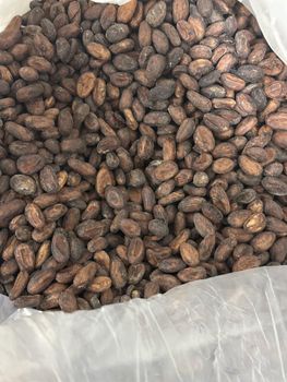 Cocoa Beans – product photo, Fermented Cocoa Beans products found from trusted suppliers, wholesalers, manufacturers & exporters Listing