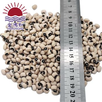 Best Selling Top Quality New Crop Natural Dry Black Eye Beans Dried White Cowpea Vigna Beans - Foshan Jinhonghe Agro Foods Co., Ltd. - China