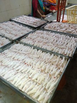 Chicken Feet - Hilton Foods - Pakistan