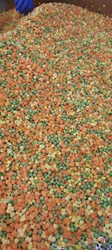 Frozen Mixed Vegetables Grade A Packaging 10kgs Shelf Life 24 - Qingdao Weixianghengtai Imp&Exp Co.,Ltd - China