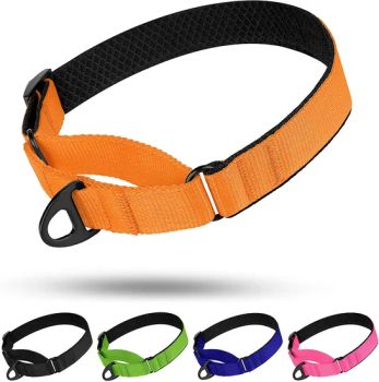 Nylon Martingale Dog Collar Soft Padded Durable Training Pet Collars - Shenzhen Sweetpet Pet Product Co., Ltd. - China