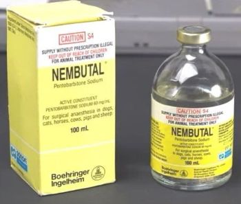 High-quality Nembutal Pentobarbital Sodium Powder Purity 95% Volume 1 Litre Form POWDER, Powder And Liquid Active Ingred from KARMENDACO LIMITED High-quality Nembutal Pentobarbital Sodium Powder Purity 95% Volume 1 Litre Form POWDER, Powder And Liquid Active Ingred - KARMENDACO LIMITED - Kenya
