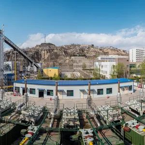 Natural Gas Engine 1000kw Generator Set of 4-Stroke Food Processing Industry - Shengli Oil Field Shengli Power Machinery Group Company Ltd - China