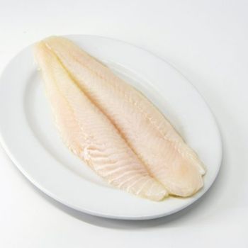 STPP EU Frozen Basa Pangasius Catfish Fillet With Competitive Price From Vietnam Manufacture - TANIS IMPORT & EXPORT COMPANY LIMITED - Vietnam