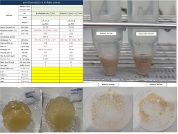 Tapioca starch Grade Food Place of Origin Laos Max. Moisture (%) 13% Packaging 850kg jumbo bag Address Paksan - Beungkan Border - Lao TTL Agriculture And Industrial Development Co.,Ltd - Lao Peoples Democratic Republic