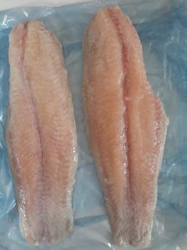 Walking catfish Packaging Unit 1 Kg/bags Glazing Percentage 10-30% Net Weight Percentage 90-70% Minimum Order Quantity 1 * 20 Feet - Plexim JSC - Vietnam