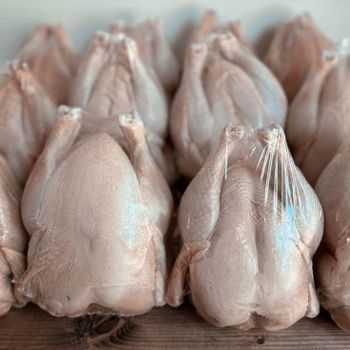 Best Quality Healthy and Natural Whole Chicken Halal Frozen Whole Chicken From Turkey Poultry Meat Chicken with Customize Pack - JMB  - Canada