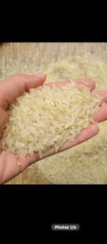 IR 64 Rice - Mega Perazim Innovations Limited - Nigeria