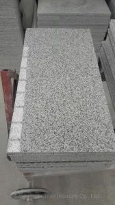 Natural Stone Light Grey G603 Flooring Wall Tiles Granite Paving Stone - Shenzhen Chiva Industry Co., Ltd. - China