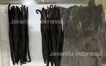 Premium Vanilla Bean Gourmet from Kreasi Prima Kita Premium Vanilla Bean Gourmet - Kreasi Prima Kita - Indonesia