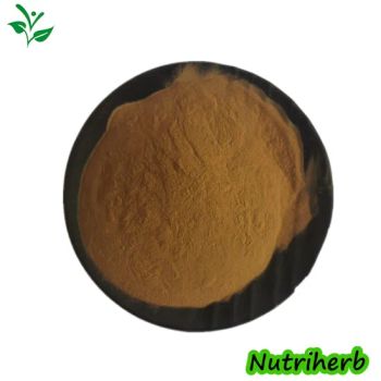 100% Natural Graviola Annona Muricata Extract Soursop Fruit Juice Powder - Nanjing NutriHerb BioTech Co., Ltd. - China