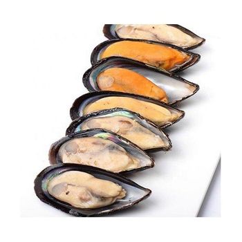 Top Quality Pure Frozen Seafood Musses With Shell / Mussels Meat For Sale At Cheapest Wholesale Price - Exigentelaxia Unipessoal Lda - Portugal
