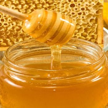 Wholesale Supplier of Pure Honey | 100% Natural and Organic Raw Honey from the Honeycomb” Organic - VERTEX TRADING LIMITED - United Kingdom