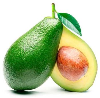 Organic Fresh Avocado - Porcosta, LDA - Portugal