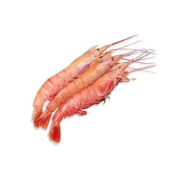Wild Caught Norwegian Prawns IQF Frozen Premium Quality Sweet Flavor Seafood for Hotels and Restaurants - PILOTEXPORT IMPORT AND EXPORT LTD - South Africa
