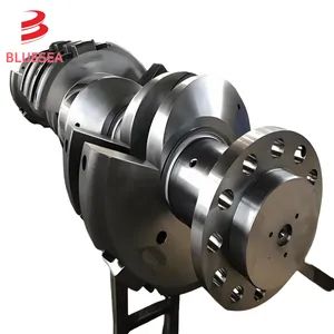 4340 Precision Balanced Forged Crankshaft for Motorcycle and High-Speed Engine Applications - Xiamen Bluesea Piping Systems Co.,Ltd. - China