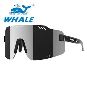 Sports Glasses Outdoor PRO for Driving Camping Mountaineering Ski - Shenzhen Pengyifa Precision Mould co., Ltd. - China