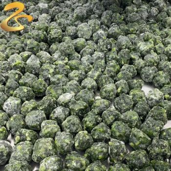 New Seasonal IQF Frozen Spinach Ball Vegetables - Qingdao Hic Imp. &Exp. Co., Ltd - China