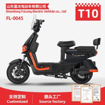 High-Performance Electric Cargo Bike with Adjustable Seat for Adults - Shandong Fulong Electric Vehicle Co., Ltd. - China