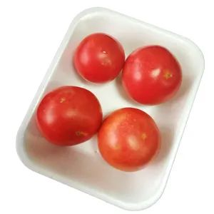 Premium Quality Disposable Food Trays Made From Non-Toxic Foam - Laizhou Guoliang Packing Products Co., Ltd. - China