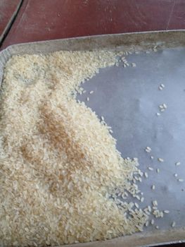 Swarna Rice - Bidhata Agro Food Industries Private Limited - India