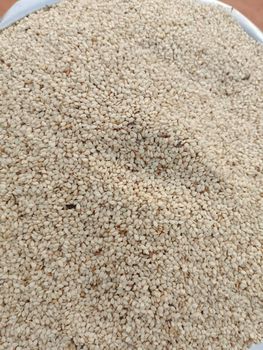 White Hulled Sesame Seeds - Burkina Faso Origin - Epifresh.co - Burkina Faso